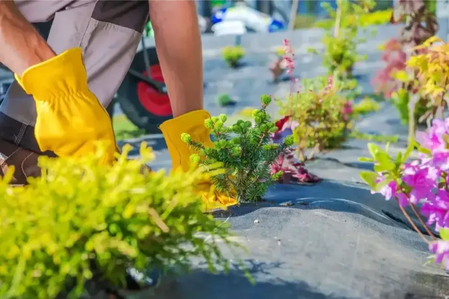 Excellent Landscaping Services Harrison, AR